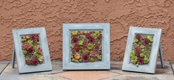 Picture Frame Grouping