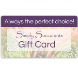 Simply Succulents Gift Card