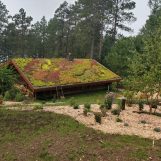 Succulents for Green Roofs and Living Walls