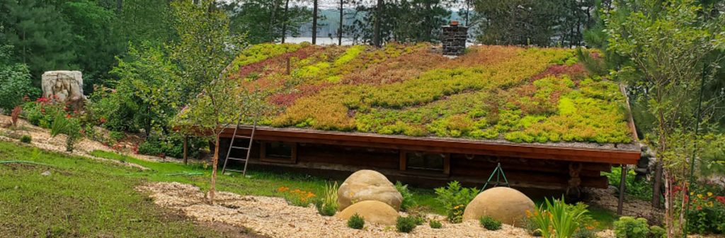 Succulent Plants for Green Roofs and Living Walls